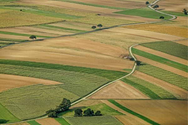 Diferentes Destinos Rurais para quem Deseja Conhecer a Agricultura Brasileira