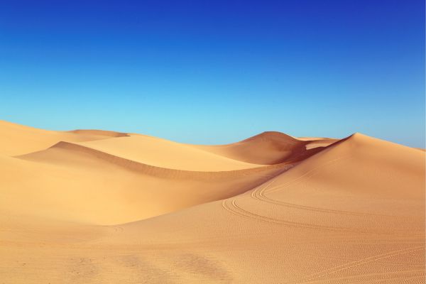 Planejando o Casamento no Deserto de Wadi Rum, Jordânia entre as Rochas Vermelhas