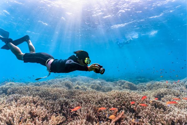 Mergulho Livre em Fauna Marinha Exótica nas Profundezas do Oceano